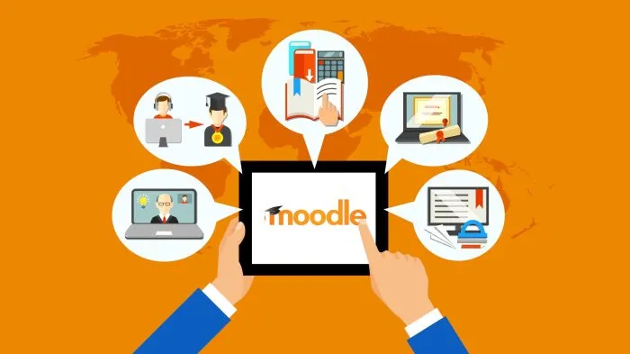 Сопровождение и развитие LMS Moodle