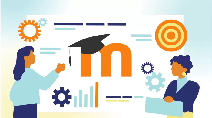 Разработка и внедрение учебных порталов на базе LMS Moodle™