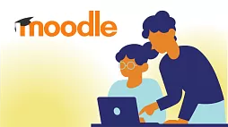 Аудит LMS Moodle™